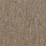 MajorityShaw Capital III Carpet Tile