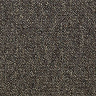 EminenceShaw Capital III Carpet Tile